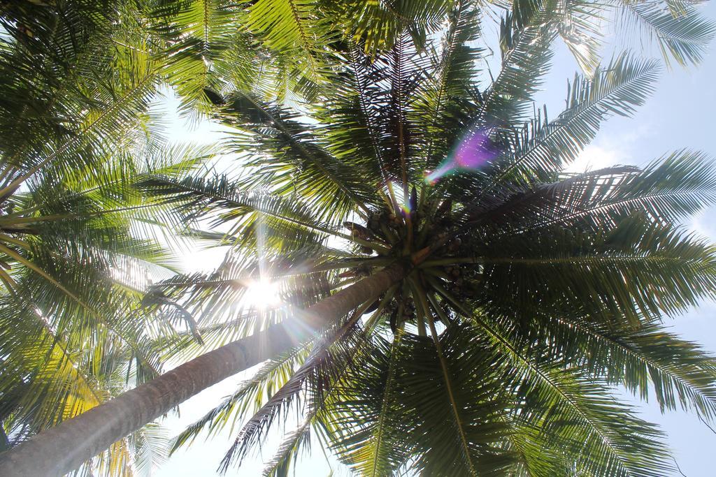 Huraa East Inn Extérieur photo